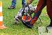 Welpen  06.09.2025 35